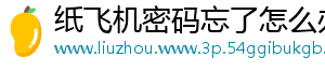纸飞机密码忘了怎么办